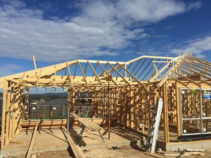 Wall and roof framing