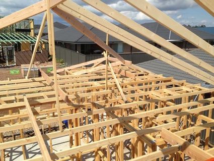 Wall and roof framing