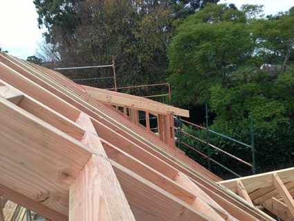 Wall and roof framing