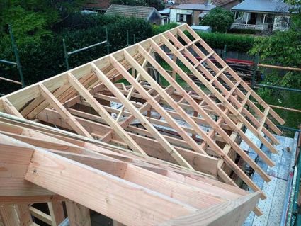 Wall and roof framing