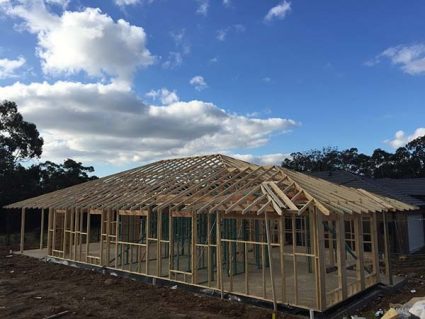 Wall and roof framing