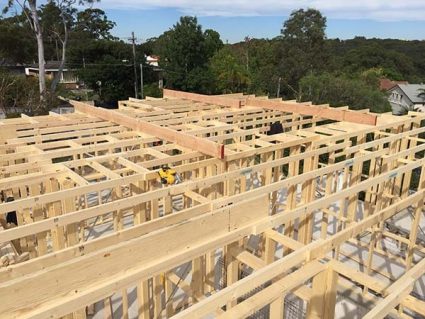 Wall and roof framing