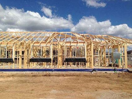 Wall and roof framing