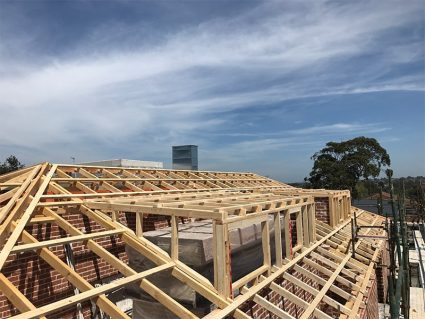 Roof Framing